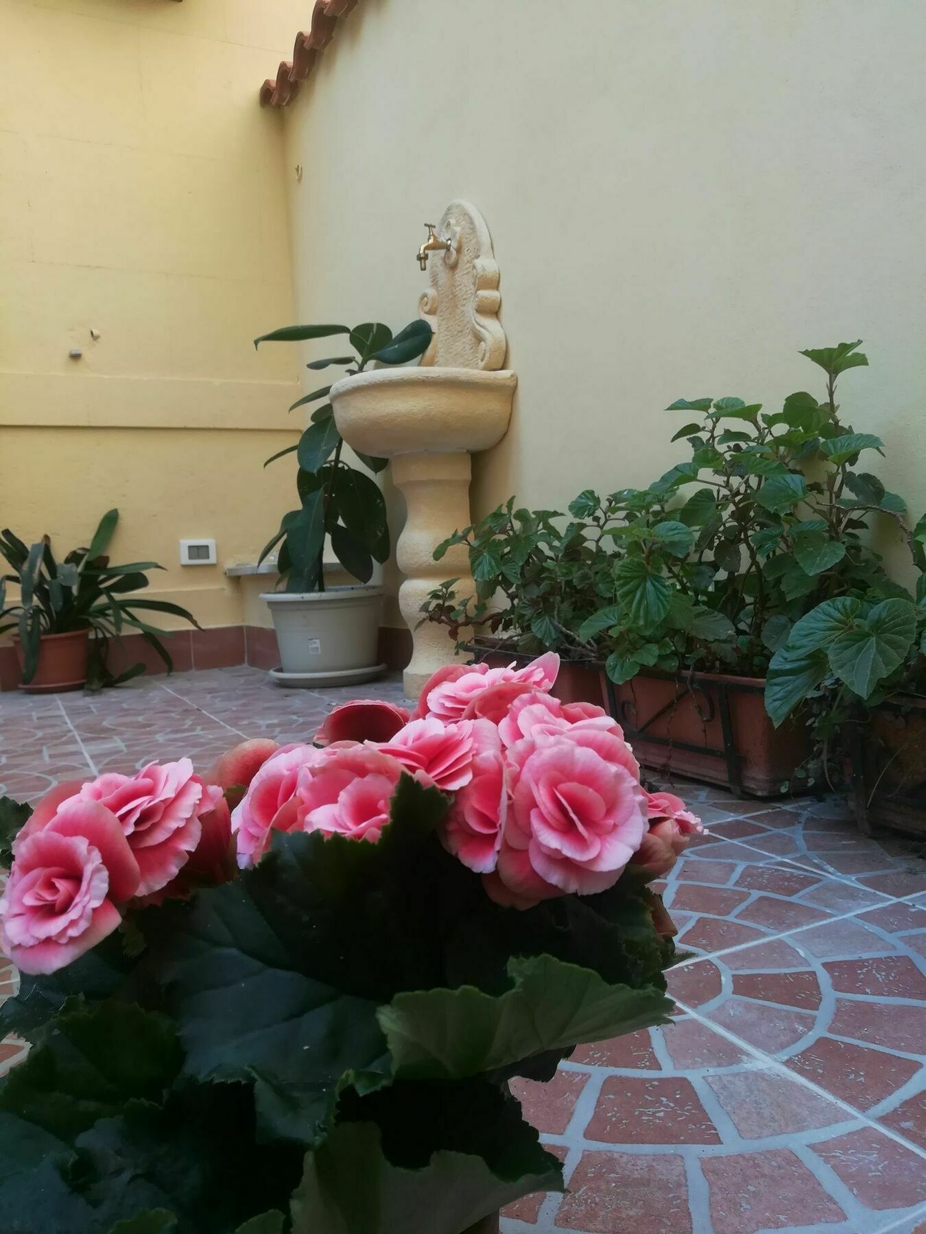 Le Rose Del Viale Hotel Palermo Kültér fotó